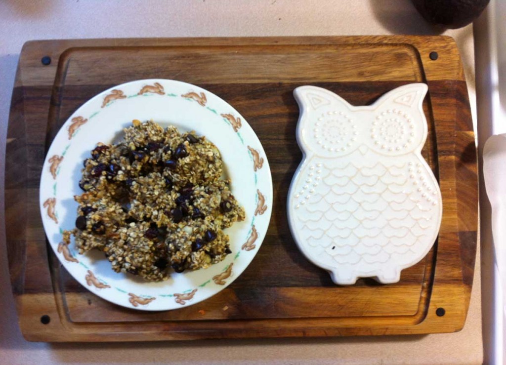 oatmeal-banana-cookie-snacks